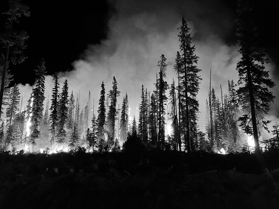 Environmental consequences